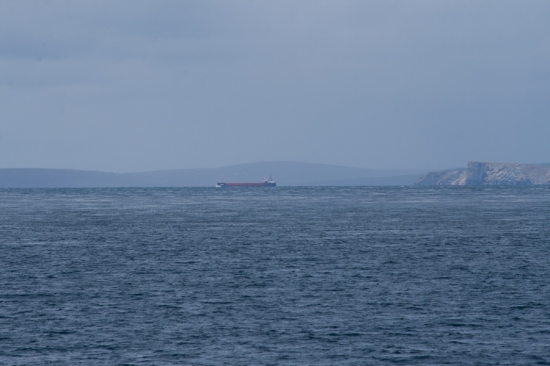 IMG_6779.jpg
